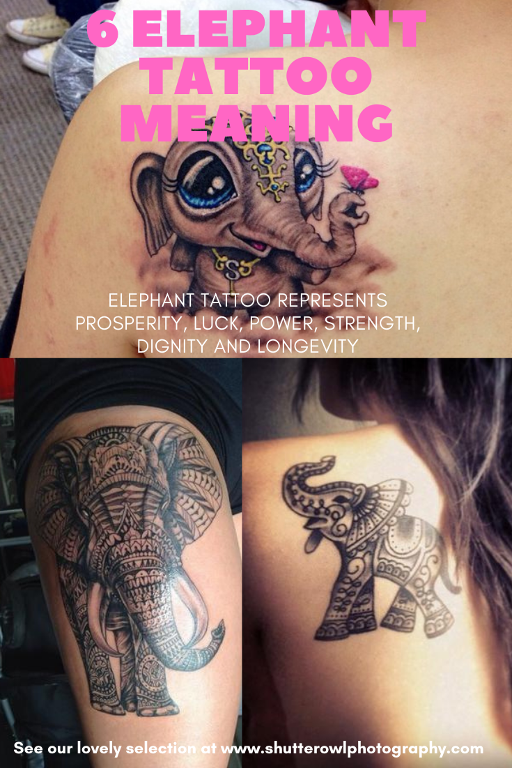 mean elephant tattoo