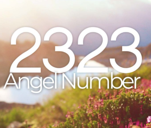 what does 2323 means?