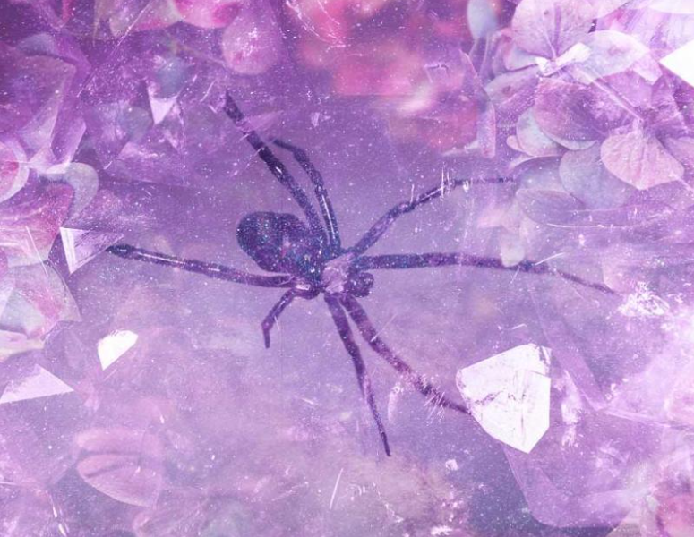 Spider web symbolism